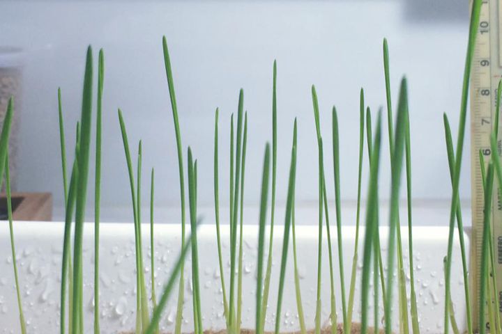  Campaña invierno 2016 en ‪‎BIOCEN 